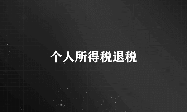 个人所得税退税