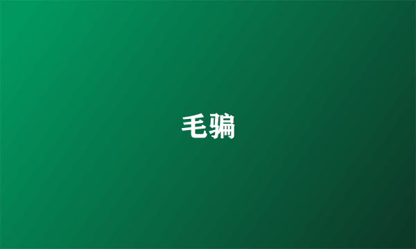 毛骗