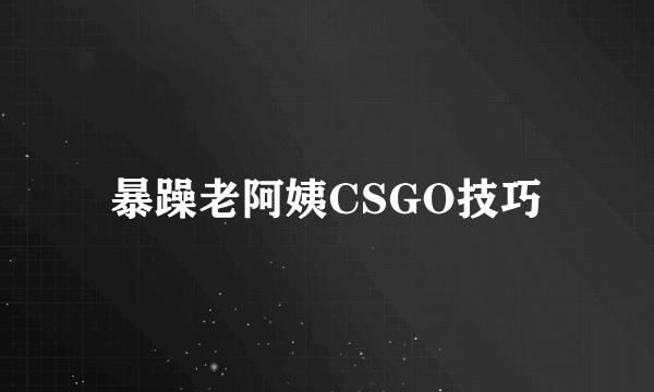 暴躁老阿姨CSGO技巧