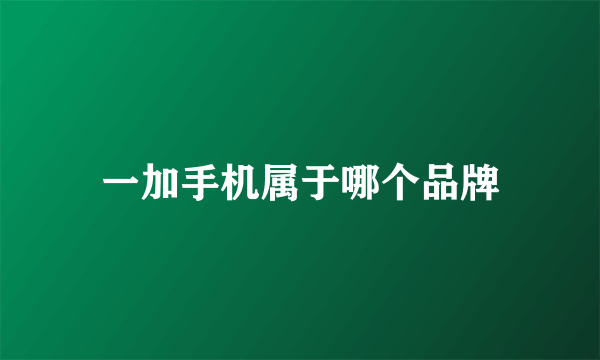 一加手机属于哪个品牌