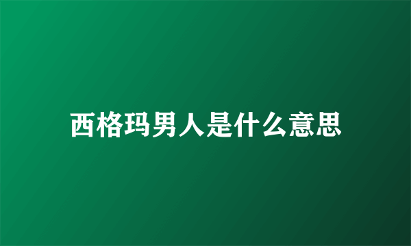 西格玛男人是什么意思
