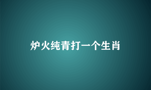 炉火纯青打一个生肖
