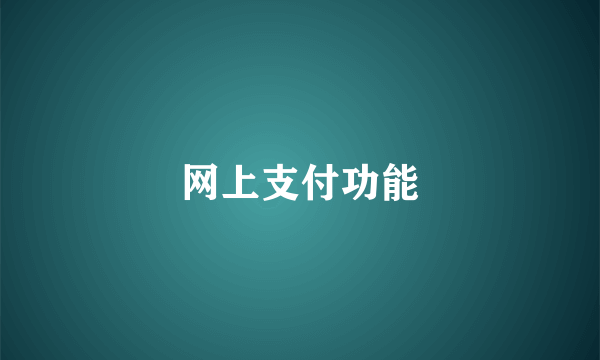 网上支付功能