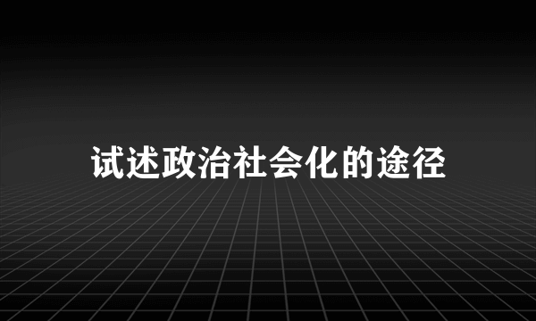 试述政治社会化的途径