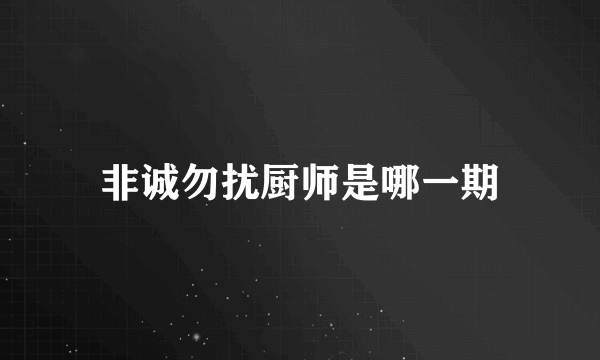 非诚勿扰厨师是哪一期