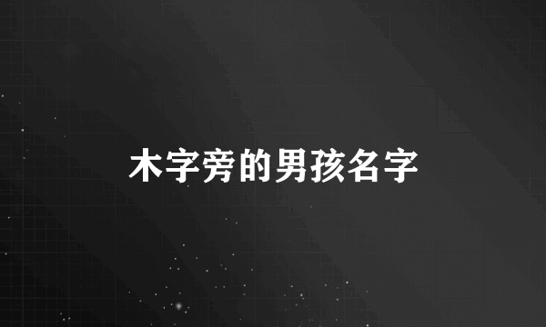 木字旁的男孩名字