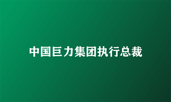 中国巨力集团执行总裁