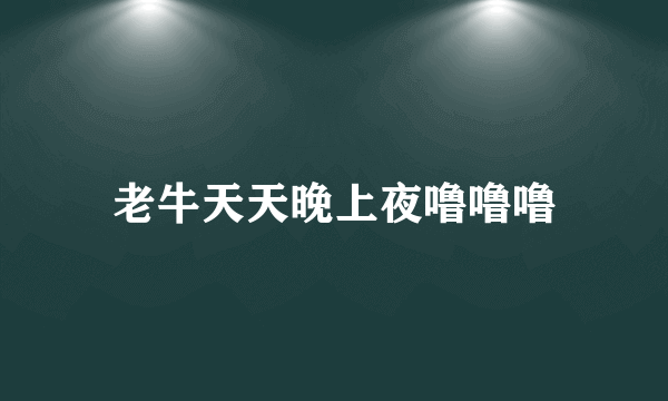 老牛天天晚上夜噜噜噜