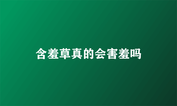 含羞草真的会害羞吗