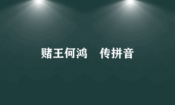 赌王何鸿燊传拼音