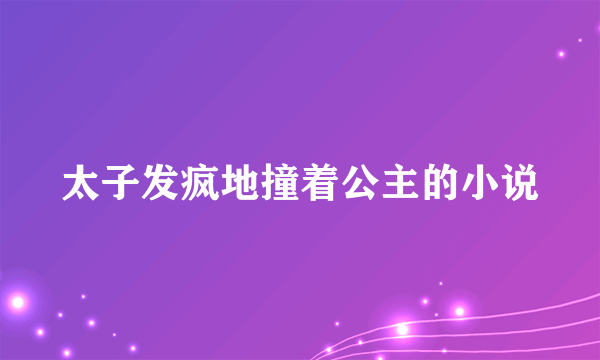 太子发疯地撞着公主的小说