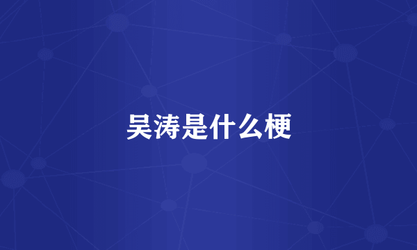 吴涛是什么梗