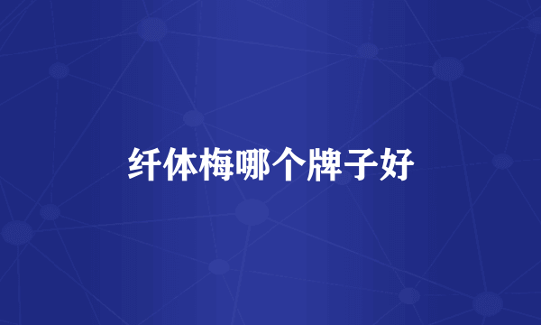 纤体梅哪个牌子好