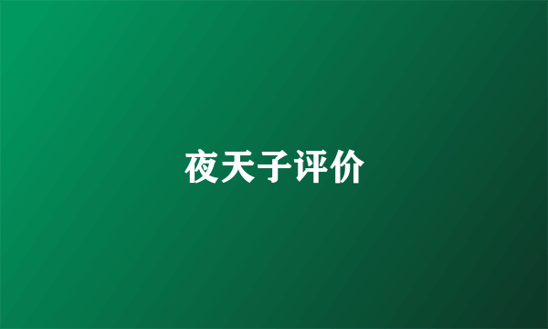夜天子评价