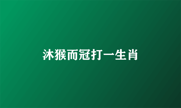 沐猴而冠打一生肖