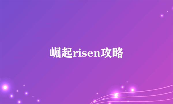 崛起risen攻略