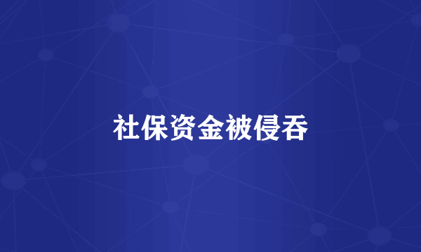 社保资金被侵吞