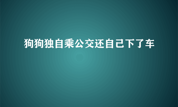 狗狗独自乘公交还自己下了车