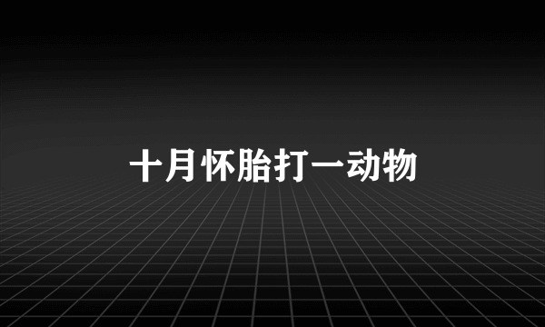 十月怀胎打一动物