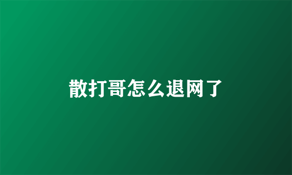 散打哥怎么退网了