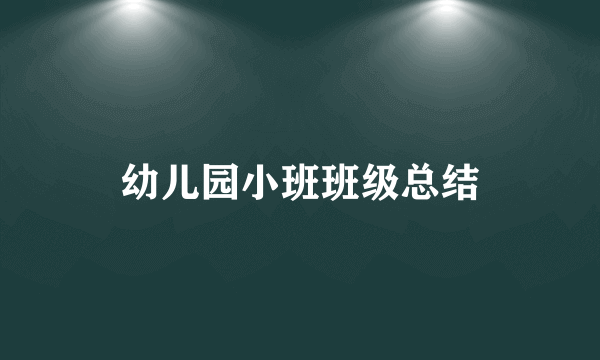 幼儿园小班班级总结