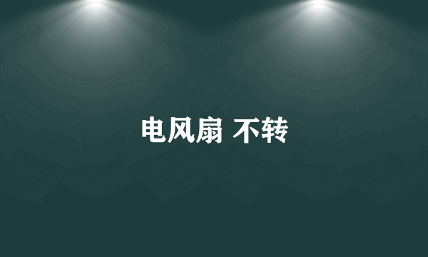 电风扇 不转