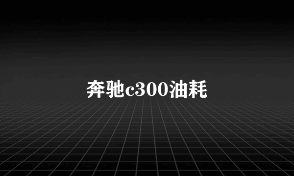 奔驰c300油耗