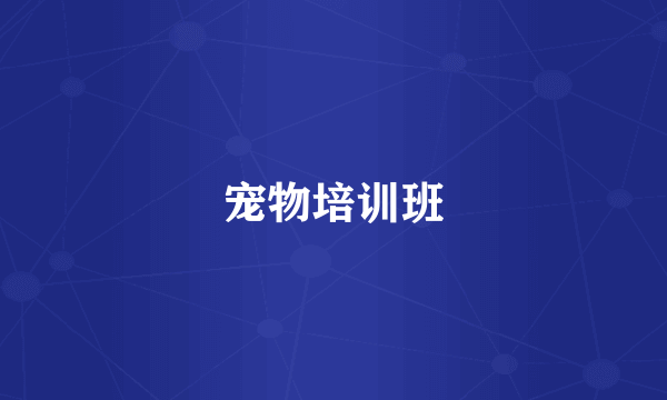 宠物培训班