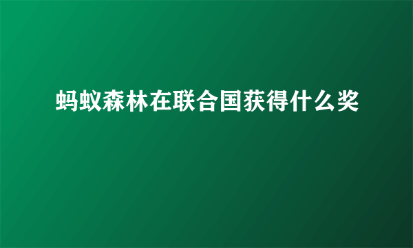 蚂蚁森林在联合国获得什么奖