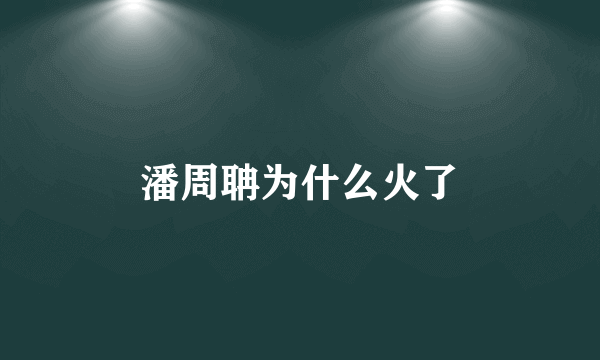 潘周聃为什么火了