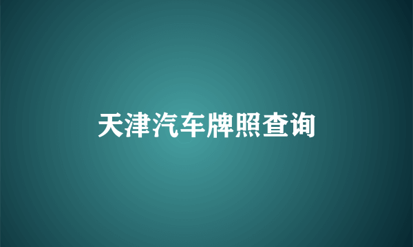 天津汽车牌照查询