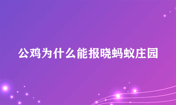 公鸡为什么能报晓蚂蚁庄园
