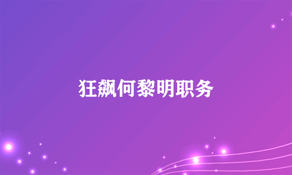 狂飙何黎明职务