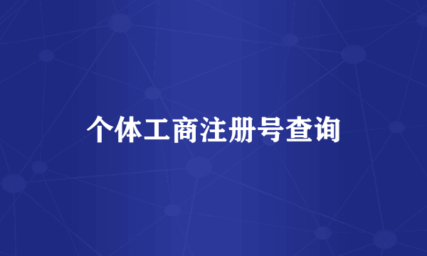 个体工商注册号查询