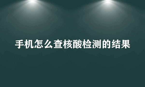 手机怎么查核酸检测的结果