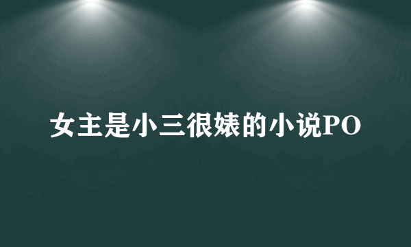 女主是小三很婊的小说PO