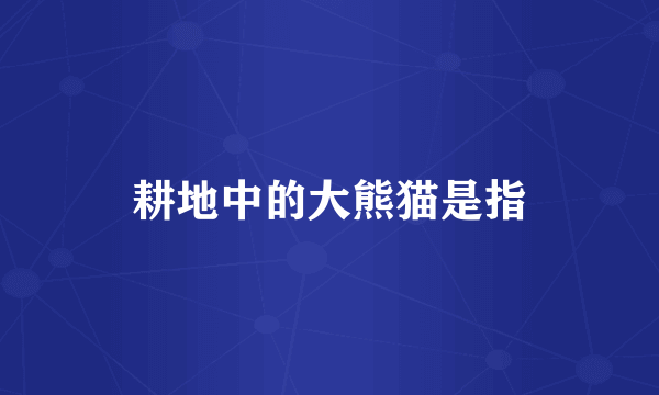 耕地中的大熊猫是指