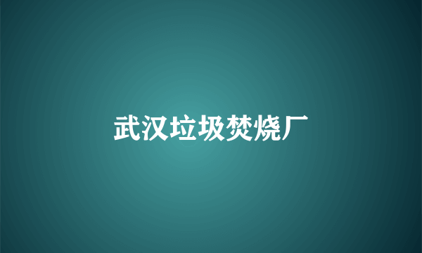 武汉垃圾焚烧厂