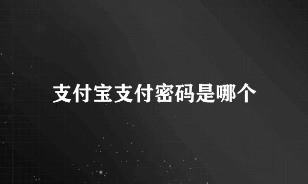 支付宝支付密码是哪个
