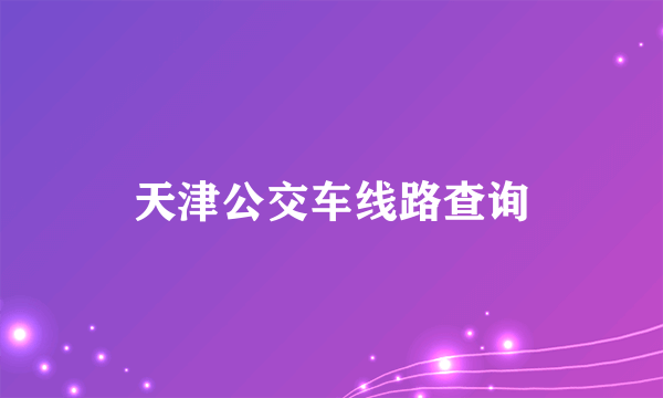 天津公交车线路查询