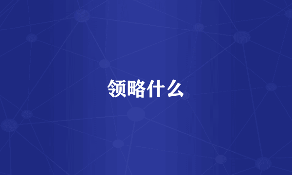 领略什么