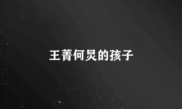 王菁何炅的孩子