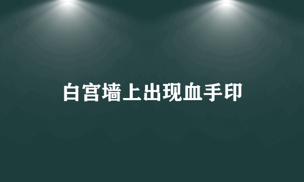 白宫墙上出现血手印