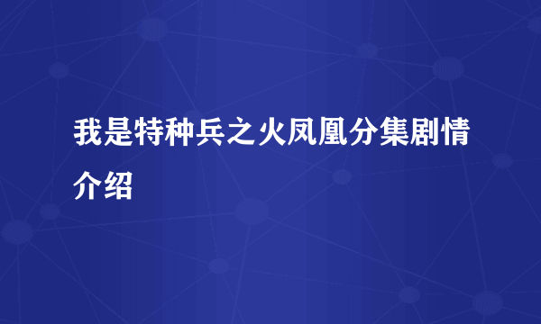 我是特种兵之火凤凰分集剧情介绍