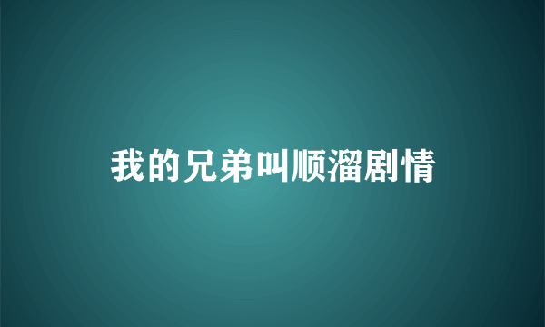 我的兄弟叫顺溜剧情