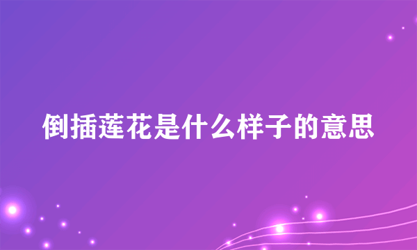 倒插莲花是什么样子的意思