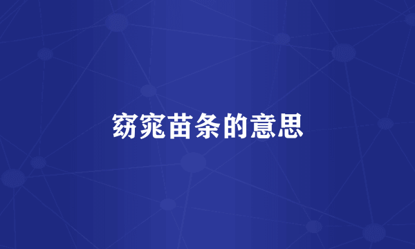 窈窕苗条的意思