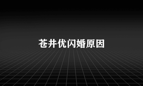 苍井优闪婚原因