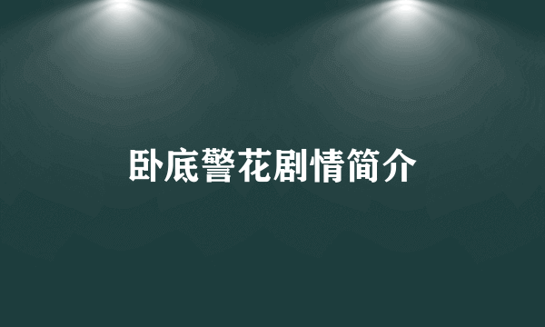 卧底警花剧情简介