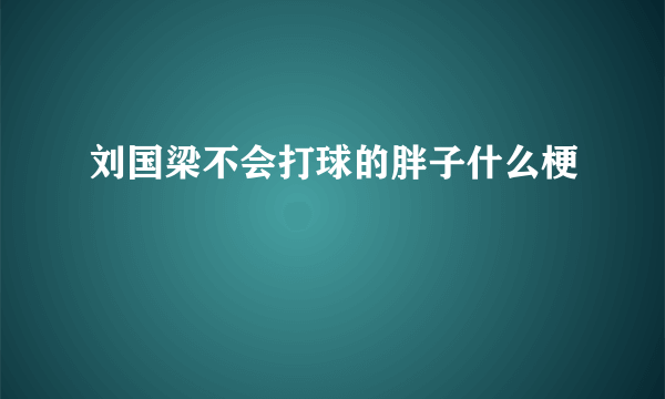 刘国梁不会打球的胖子什么梗